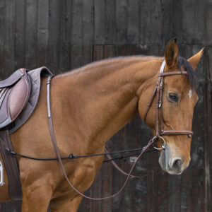 Side reins elastic NORTON adjustable
