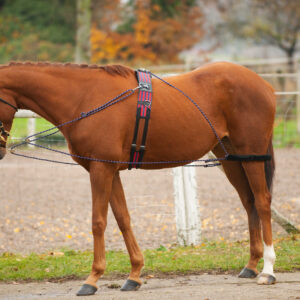 Training harness and lunging aid with wheels NORTON