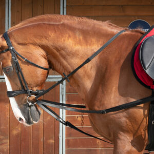 NORTON CLUB Vienna reins (triangle reins)