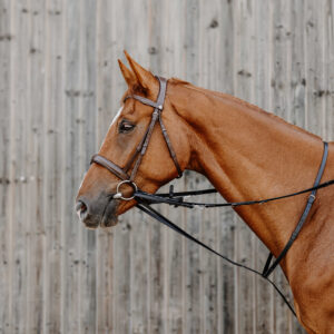 NORTON PRO - Thiedeman reins