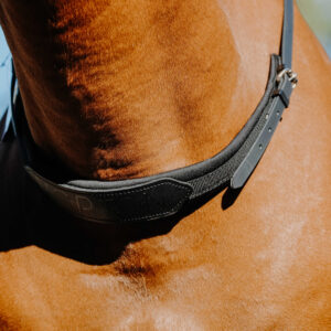 NORTON Bareback Necklace