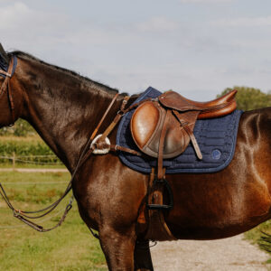 NORTON - 5 points - Breastplate