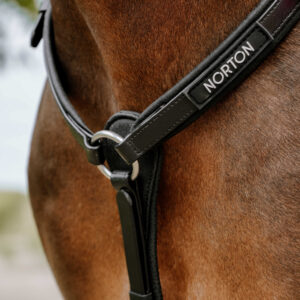 Collier de chasse Endurance NORTON - Pop