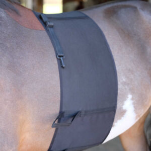 NORTON spore protection