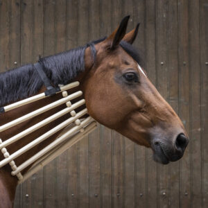 HIPPOTONIC wooden neck collar