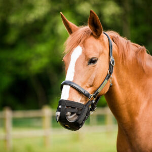 NORTON muzzle basket