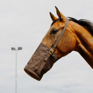 HIPPOTONIC 600 Denier Feed Bag