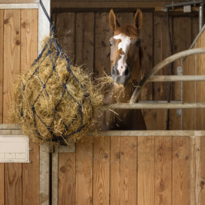 HIPPOTONIC cotton hay net with rings