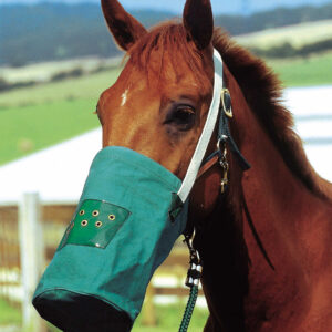 HIPPOTONIC Feed Bag, Canvas