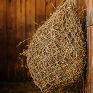 HIPPOTONIC - Naturel - Heunetz