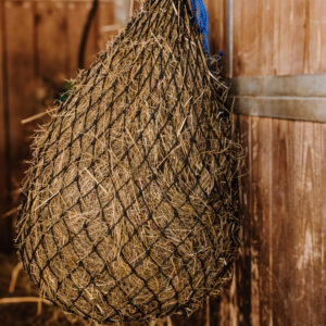 HIPPOTONIC - High Temperatures - Hay Net