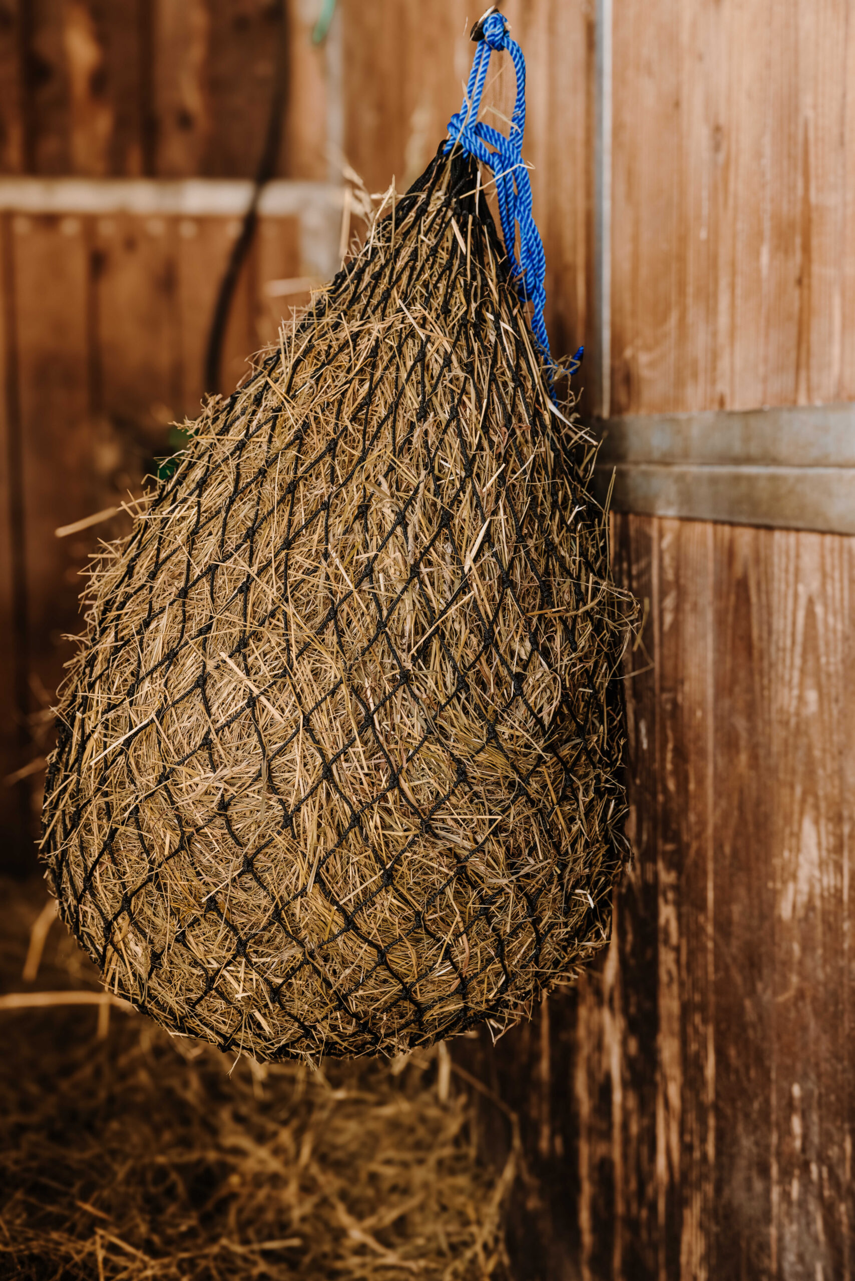 HIPPOTONIC - High Temperatures - Hay Net