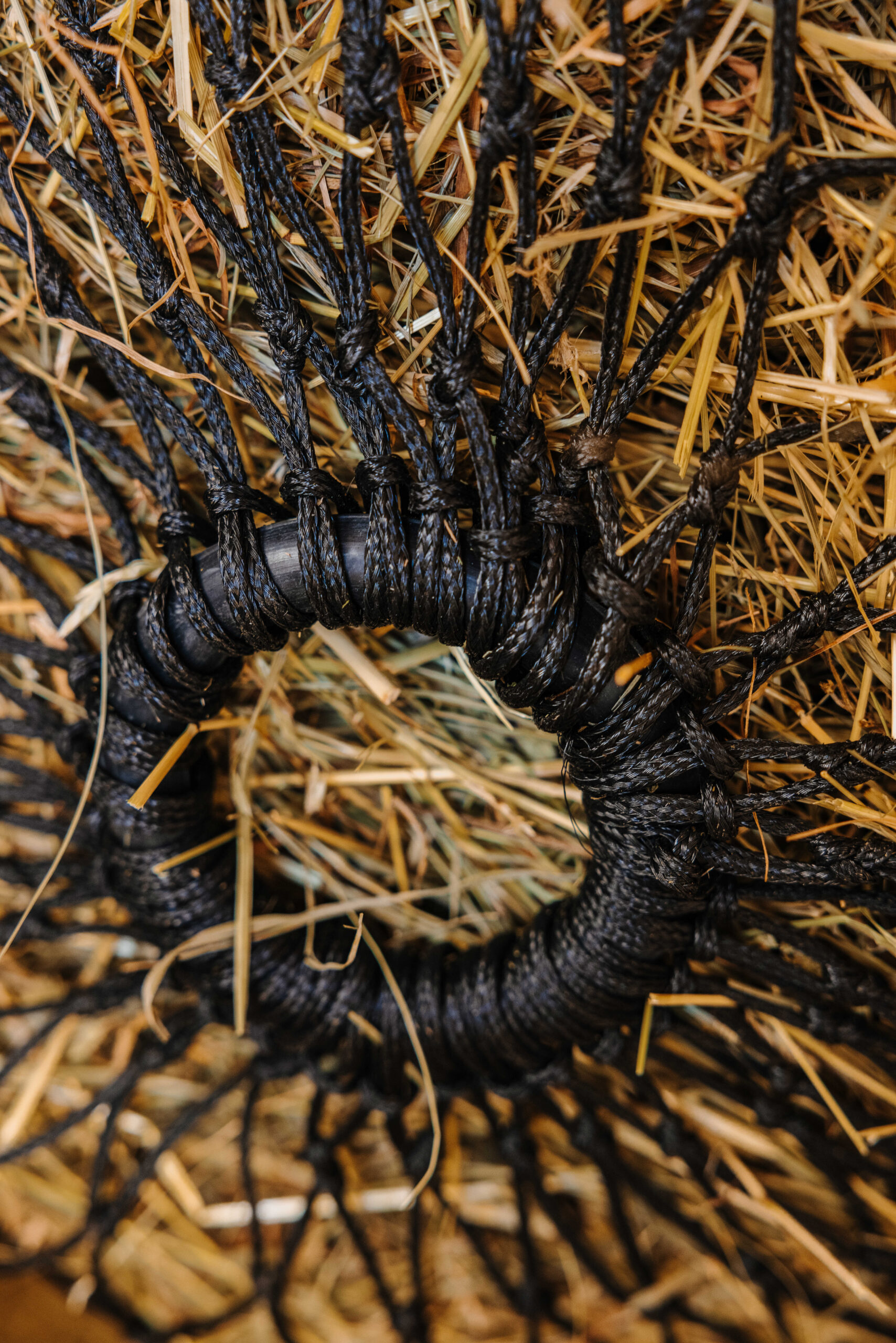 HIPPOTONIC - High Temperatures - Hay Net - Image 2