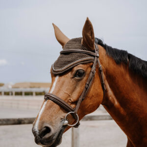 EQUITHÈME Fly Veil - Hexalight