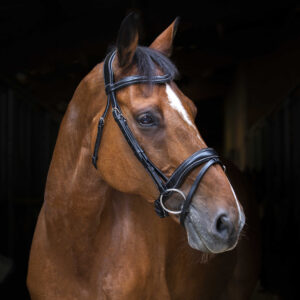 ERIC THOMAS PRO Zaumzeug - Wave