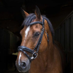 ERIC THOMAS PRO Trense - Design