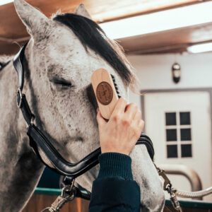 BORSTIQ Kopfbürste - Polypropylen