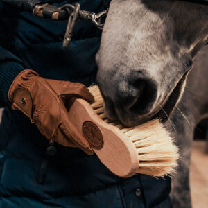 BORSTIQ Infini Brush - Cactus/Horse Hair