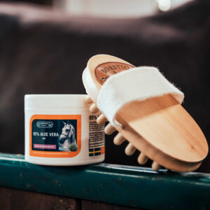 BORSTIQ Massage Brush