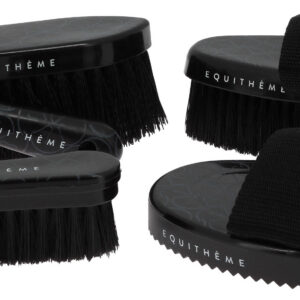 EQUITHÈME - Studies - Hufkratzer