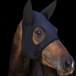 LAMI-CELL mask - Titanium with ears