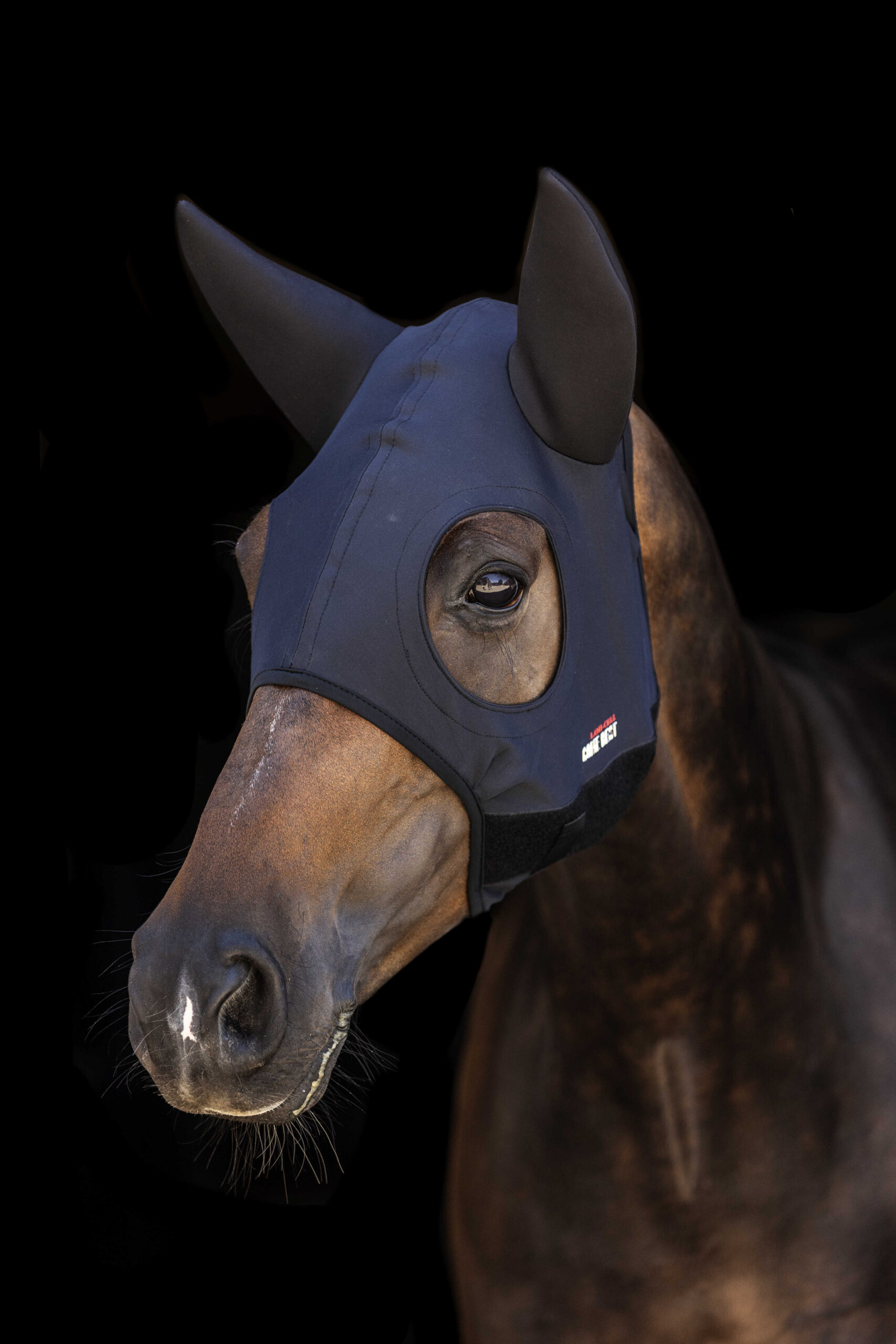 LAMI-CELL mask - Titanium with ears - Image 2