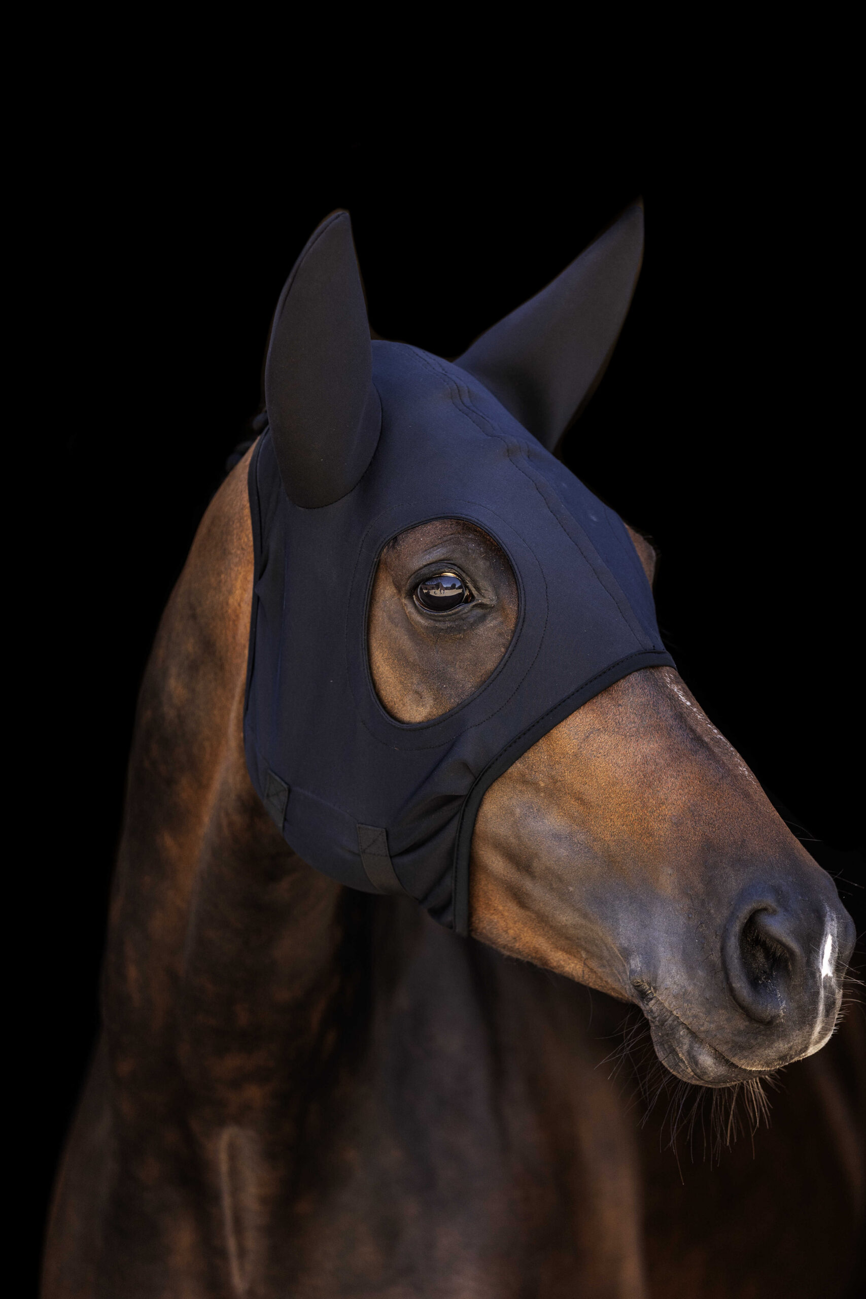 LAMI-CELL mask - Titanium with ears - Image 3