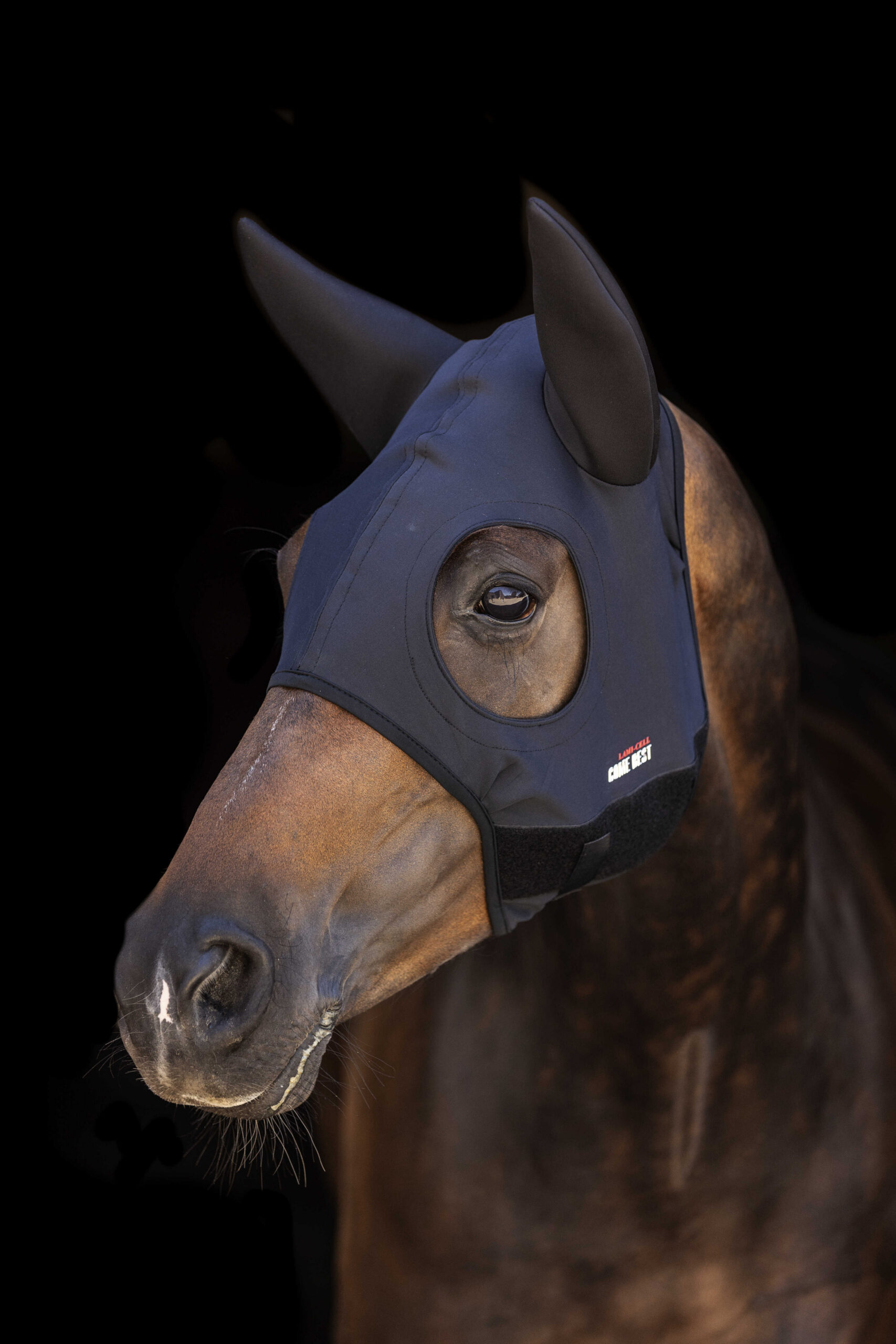 LAMI-CELL mask - Titanium with ears - Image 5