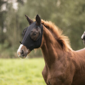 Fly mask LAMI-CELL - Lycra