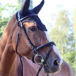 LAMI-CELL Fly Veil - Silentair