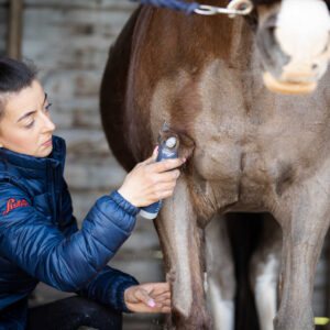 LISTER "Eclipse" cordless clipper
