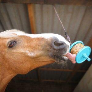 LIKIT Treats - Granola