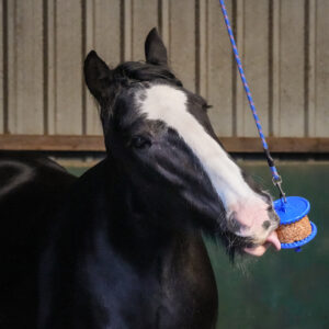 Treats LIKIT - Light Granola