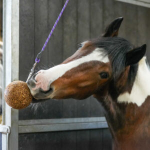 Supplementary feed LIKIT - Stall Ball Light