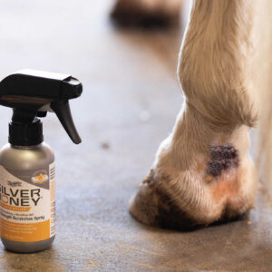 Spray Mud Defense ABSORBINE - Silver honey