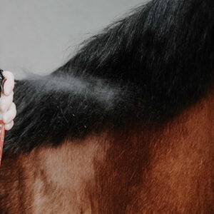 REKOR Shine Detangler - Show Coat