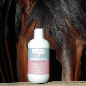 Shampoo LPC - Espace Shampoo