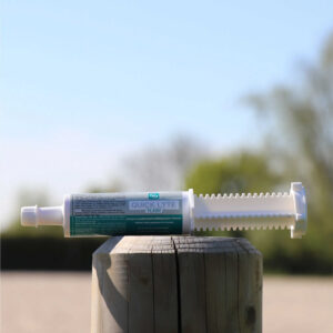 Supplementary feed LPC - Quick Lyte Flash