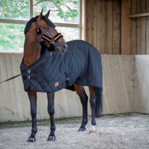 PADDOCK "Padded" Stalldecke