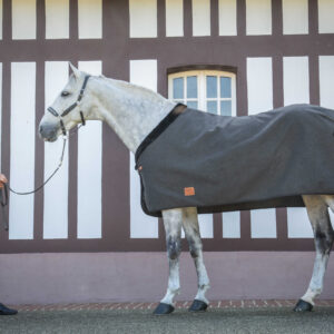 PADDOCK "Wooltouch" rug