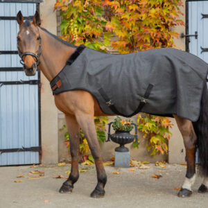 PADDOCK "Woolt" horse walker blanket