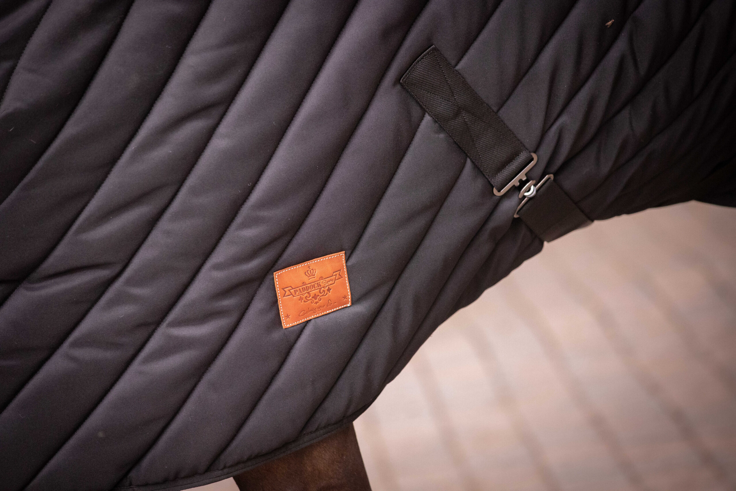 PADDOCK Stable rug 400 gr. - Image 3