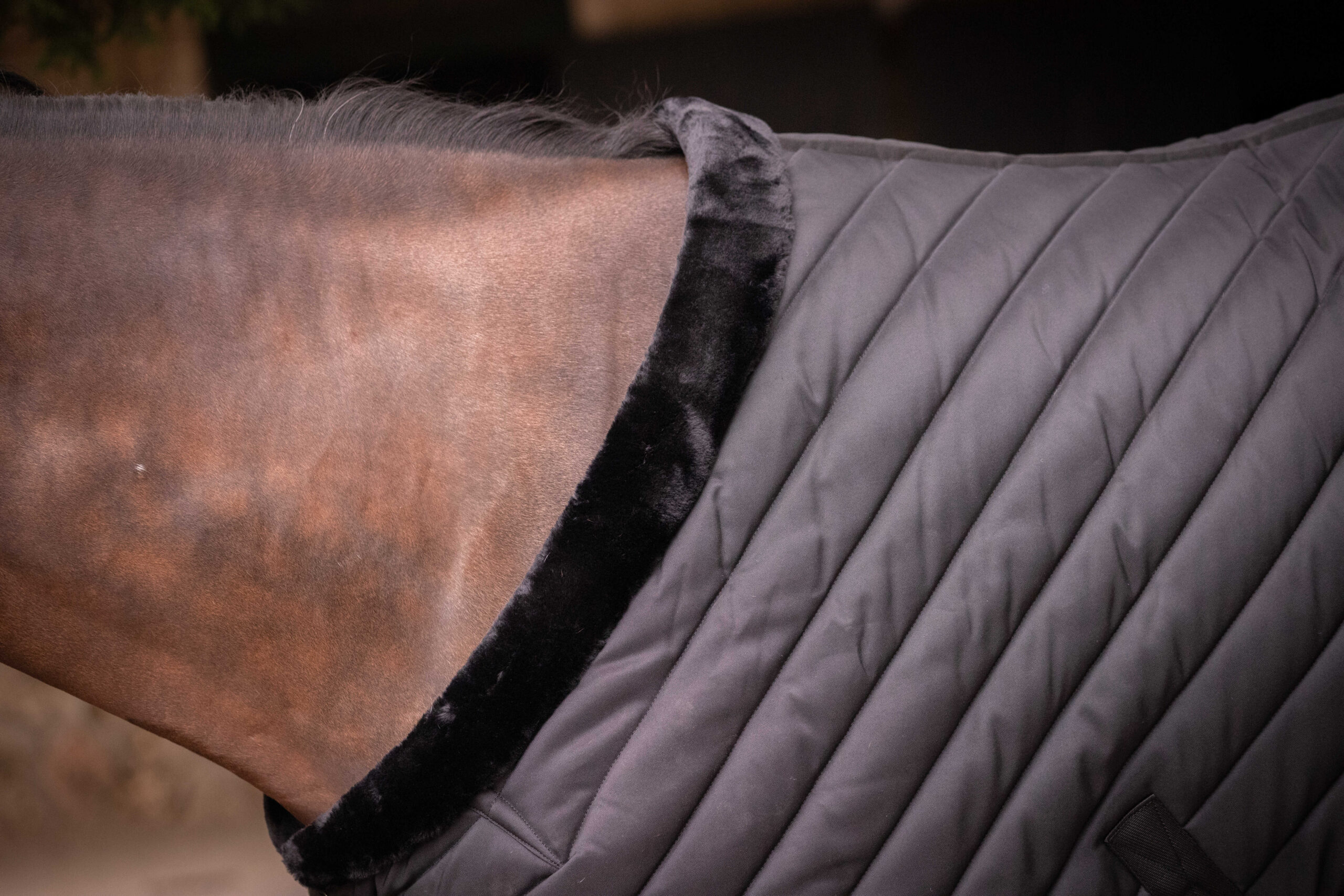 PADDOCK Stable rug 400 gr. - Image 4