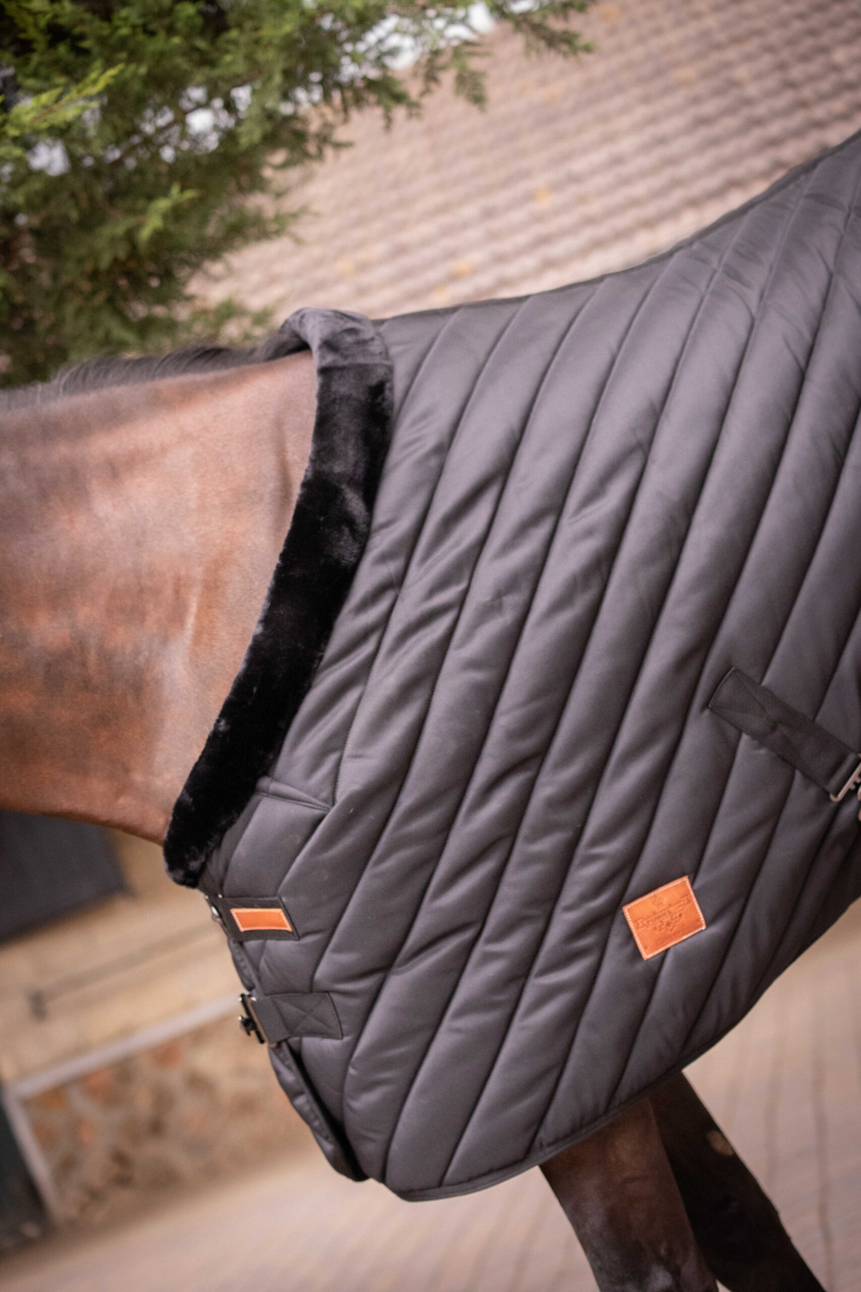 PADDOCK Stable rug 400 gr. - Image 5