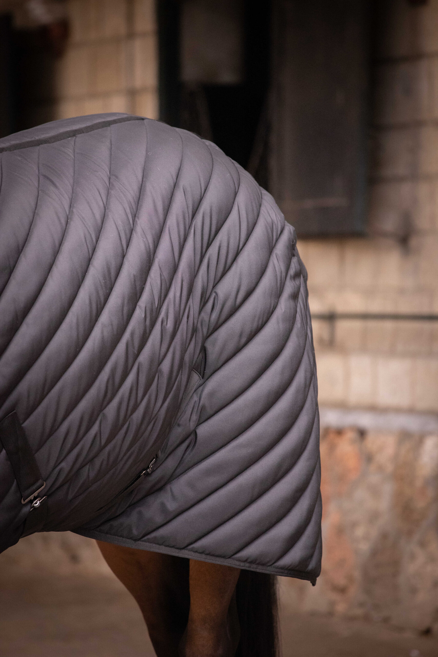 PADDOCK Stable rug 400 gr. - Image 6