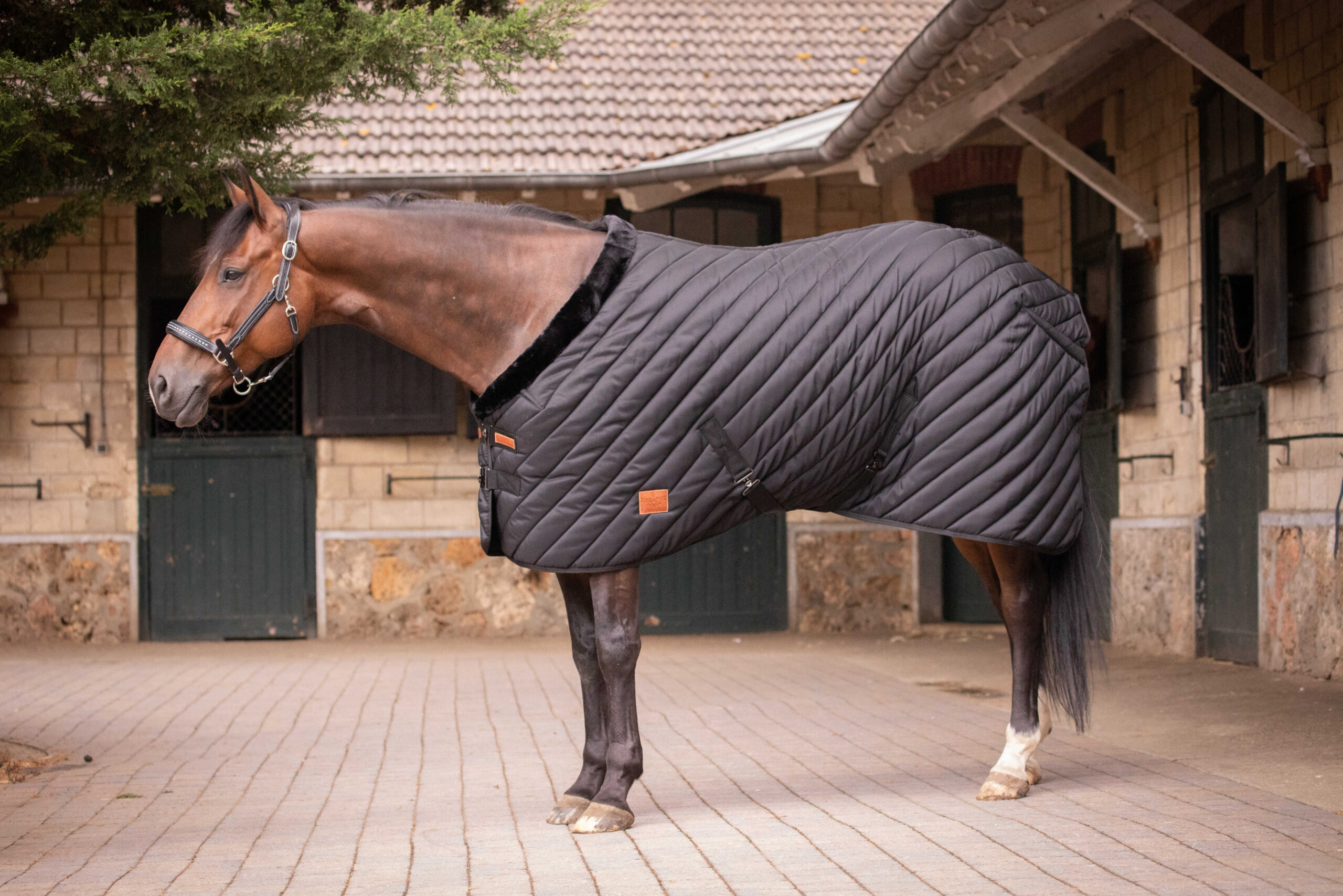 PADDOCK Stable rug 400 gr. - Image 7