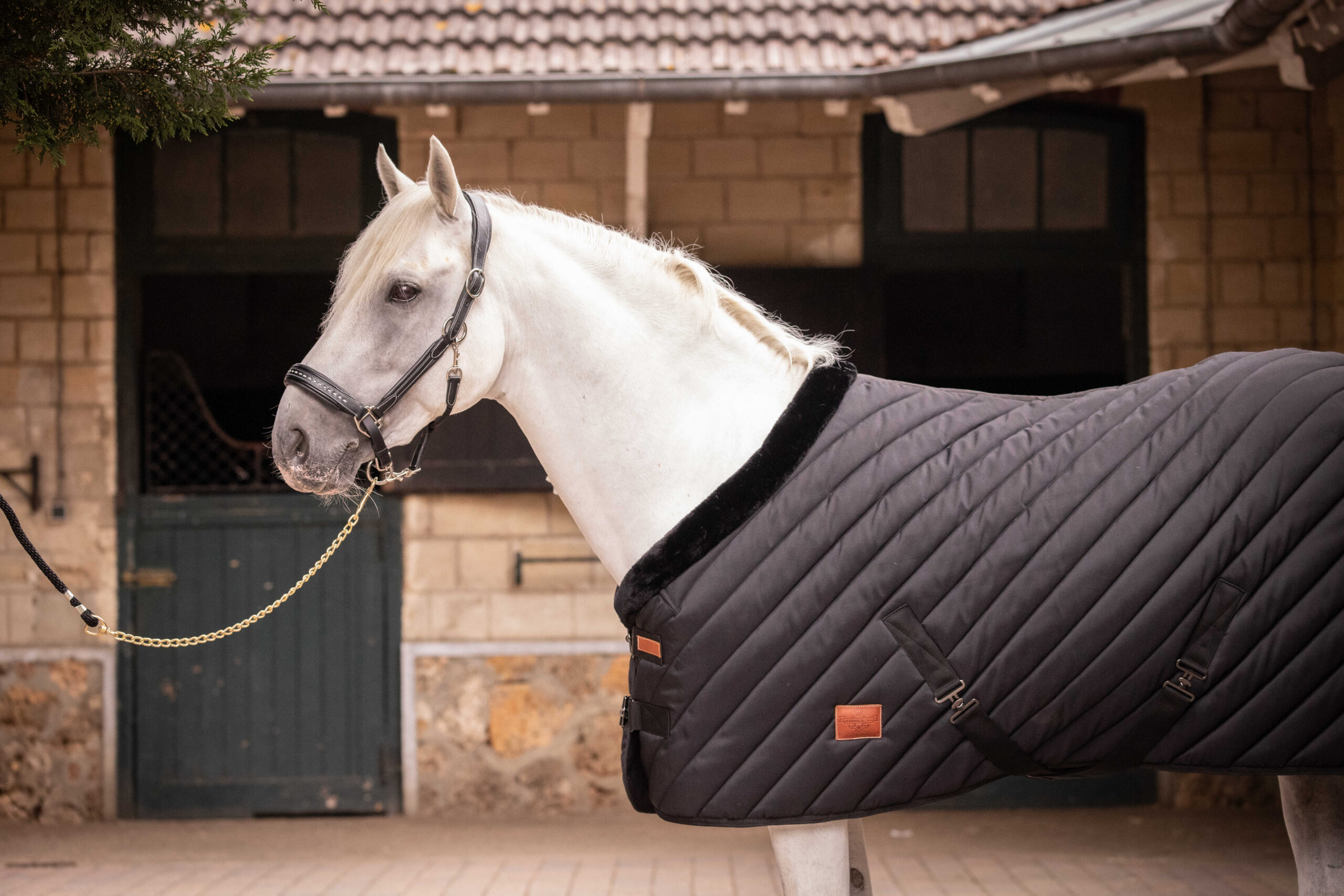 PADDOCK Stable rug 400 gr. - Image 9