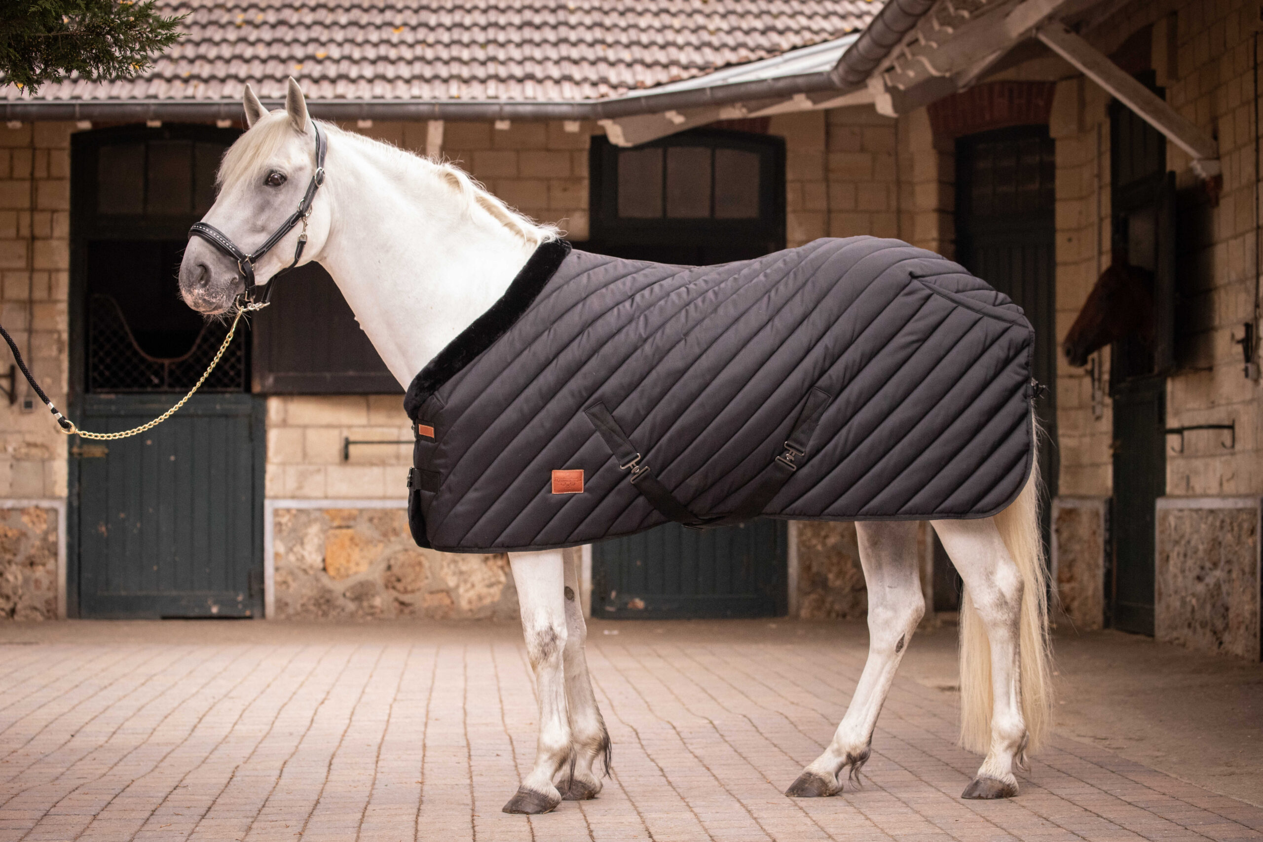 PADDOCK Stable rug 400 gr. - Image 10