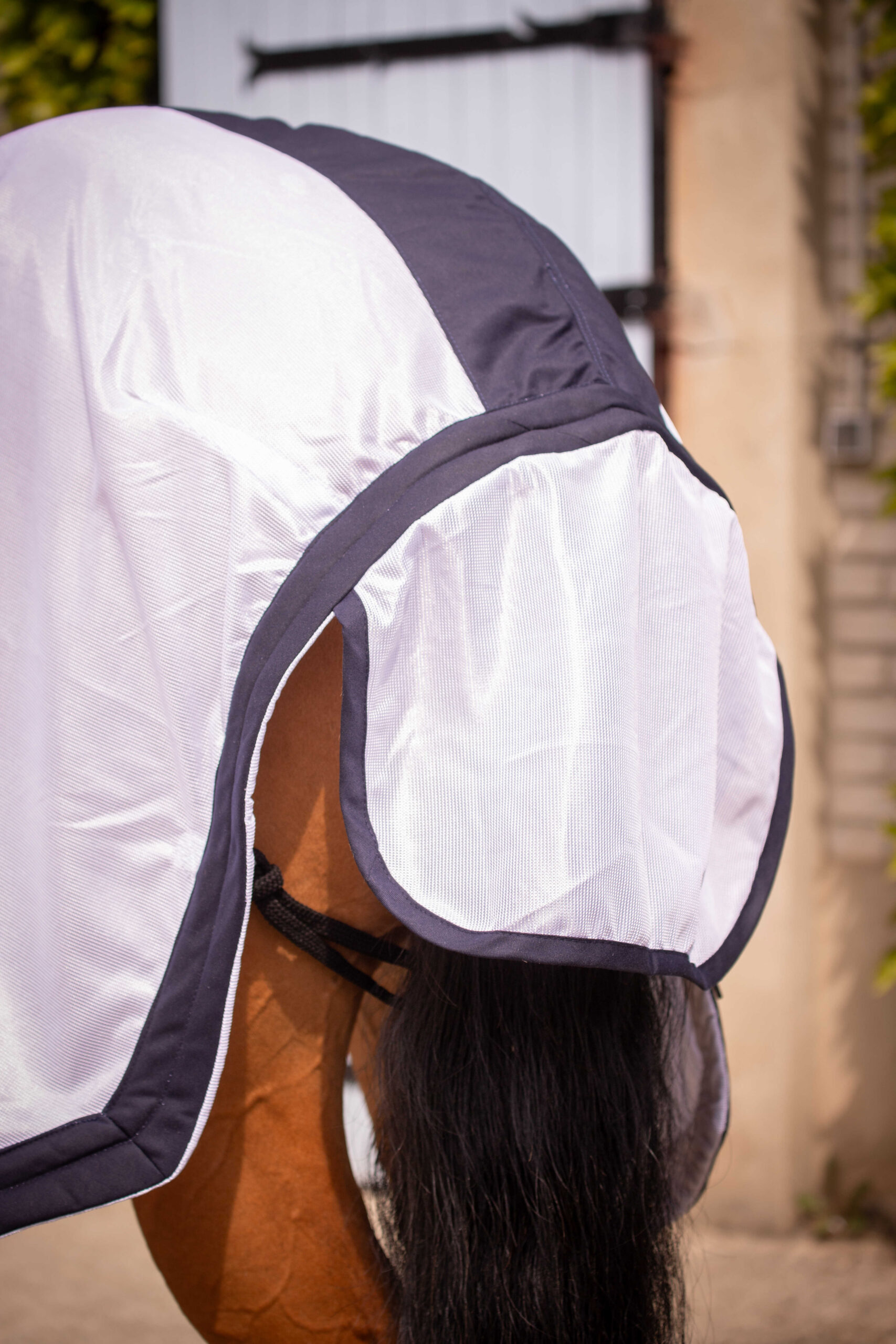 PADDOCK UV-mesh combo Decke - Image 4