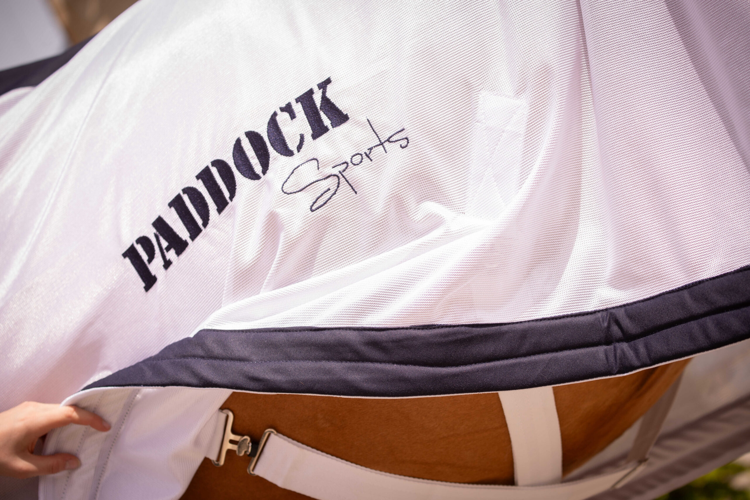 PADDOCK UV-mesh combo Decke - Image 5